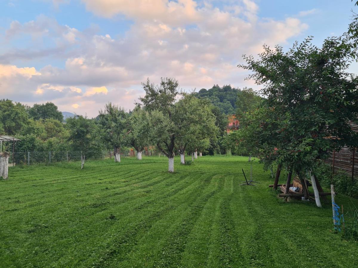 Casuta Cu Dumbrava Bran (Brasov)