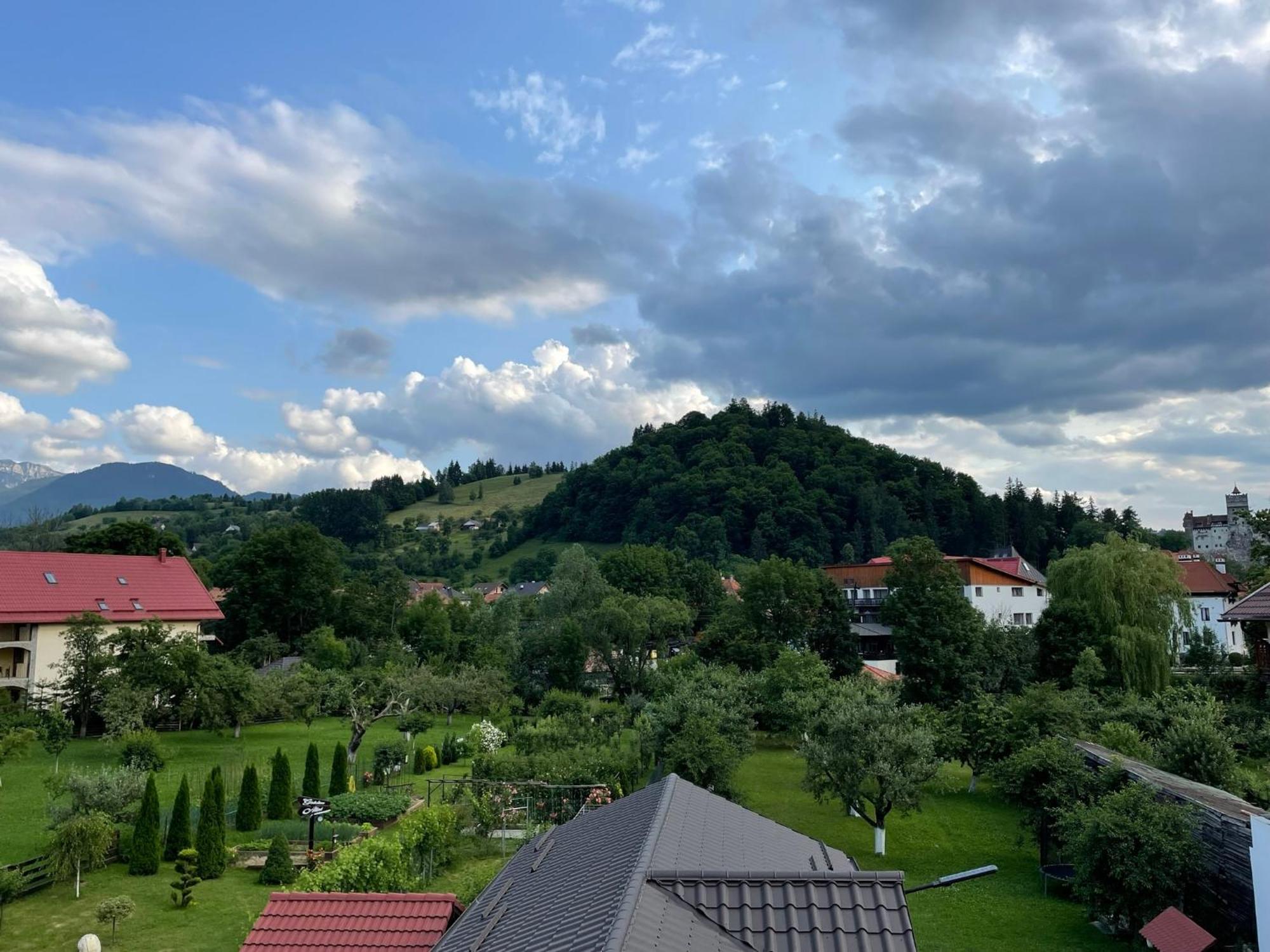 Casuta Cu Dumbrava Homestay *