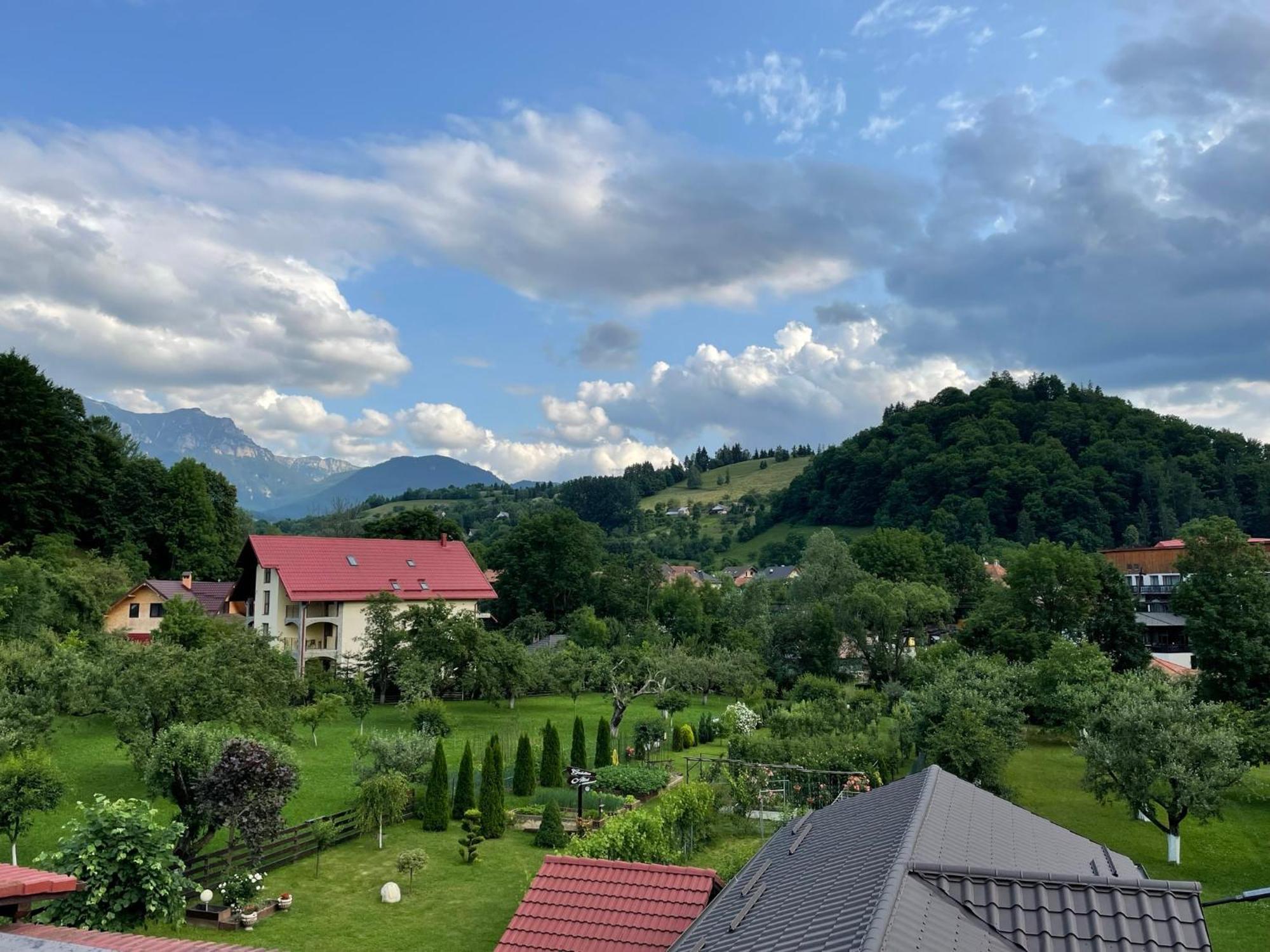 Homestay Casuta Cu Dumbrava