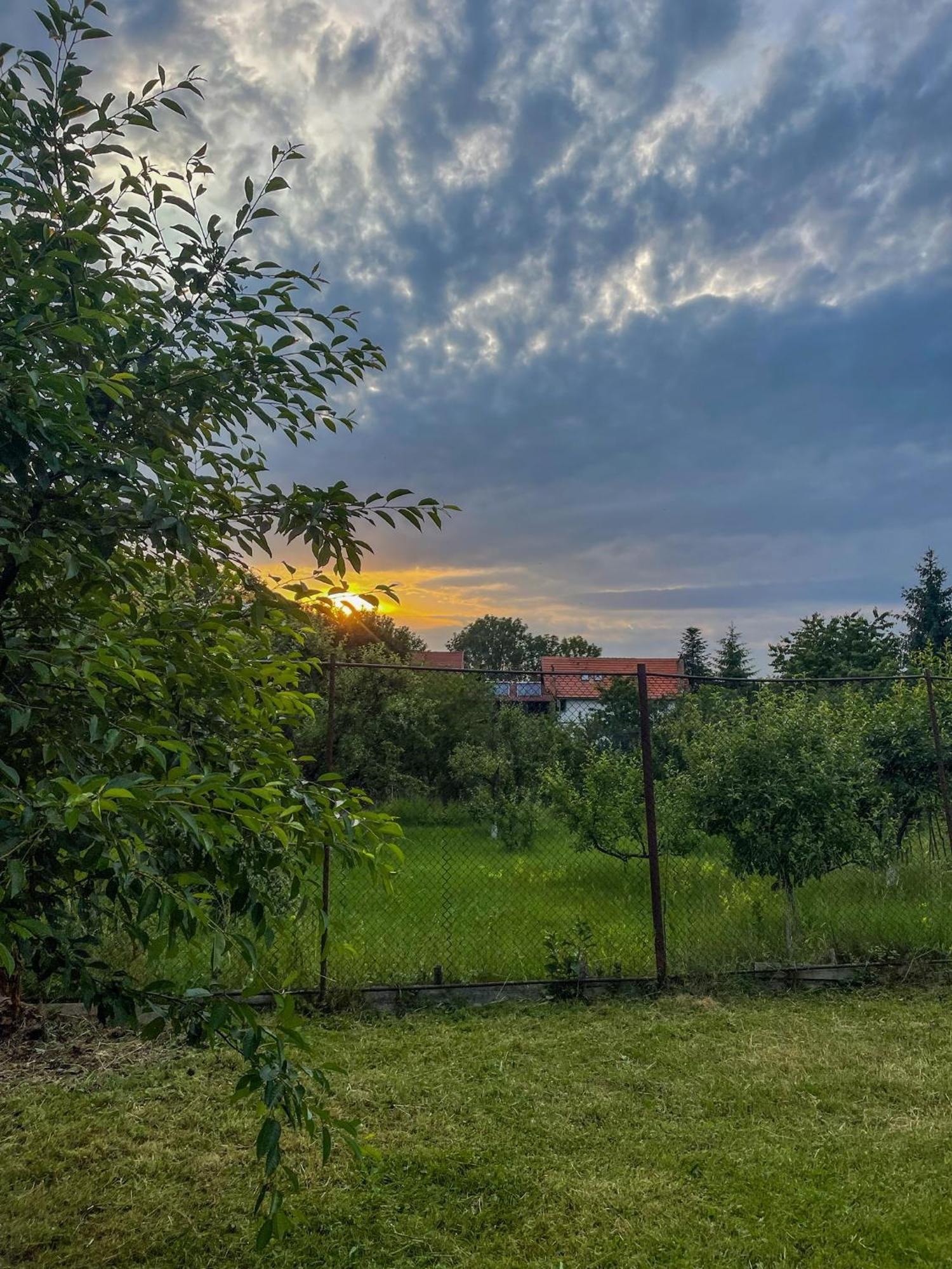 Casuta Cu Dumbrava * Bran (Brasov)