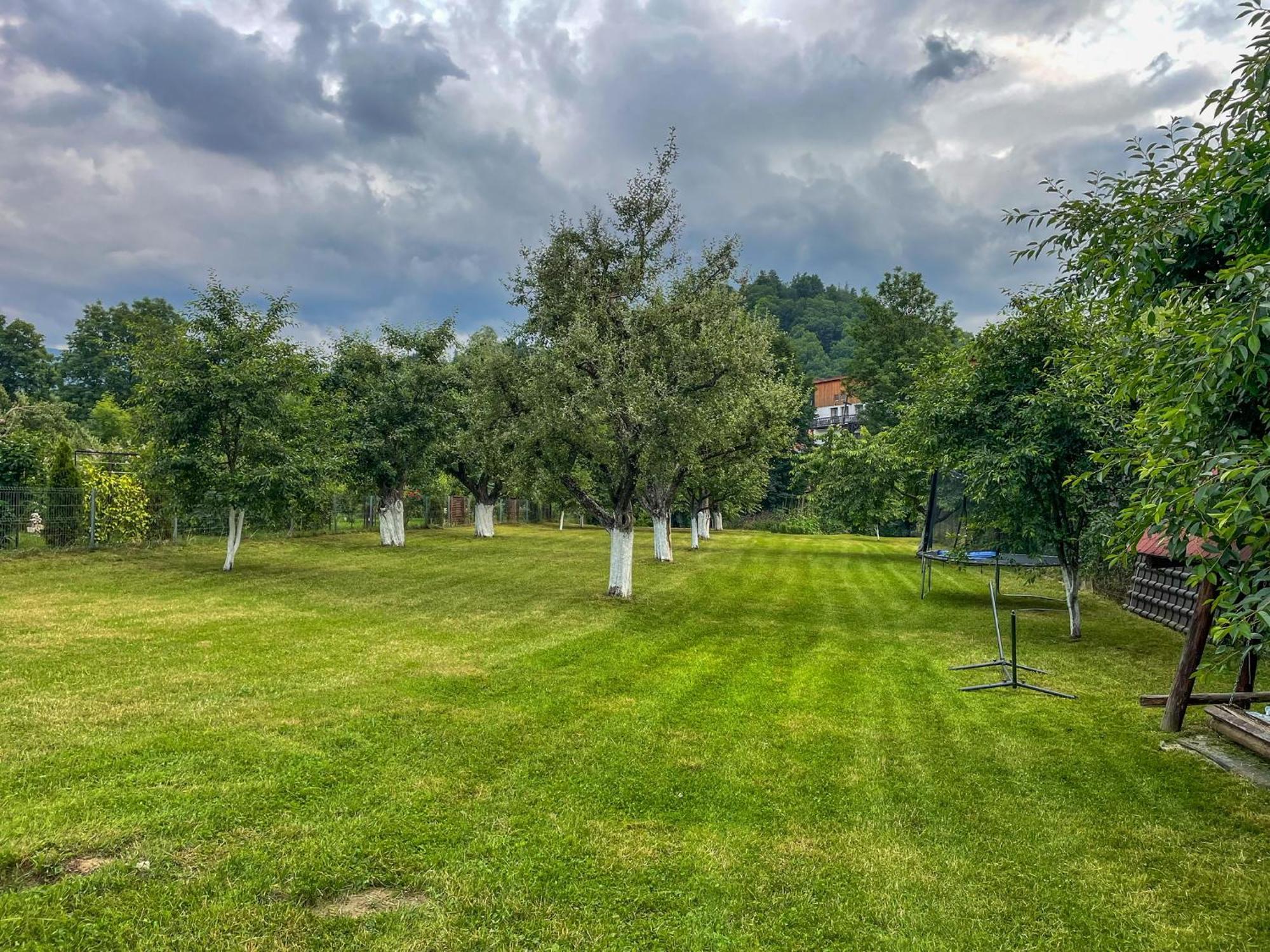 Casuta Cu Dumbrava Bran (Brasov)
