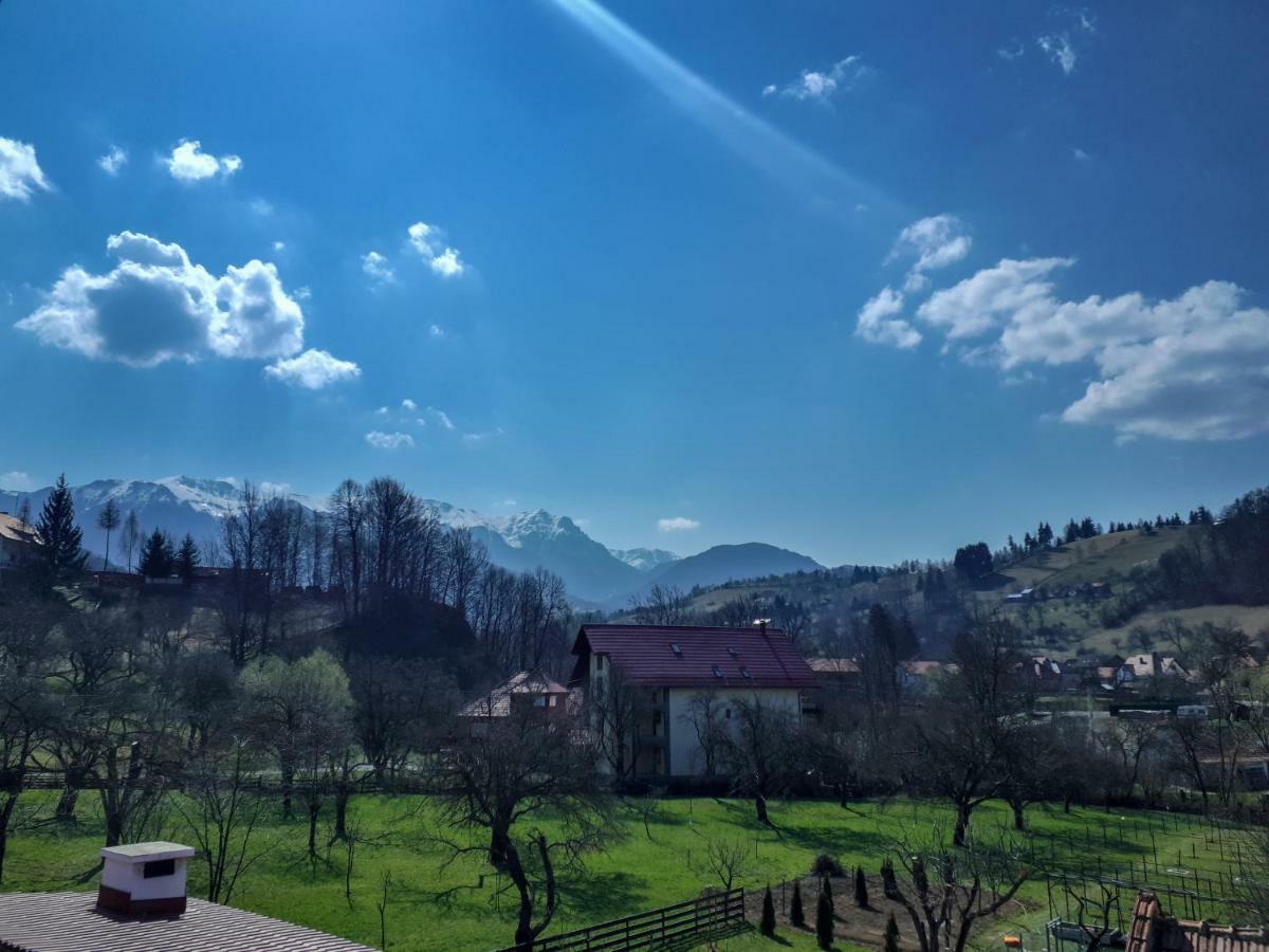 Casuta Cu Dumbrava Homestay *
